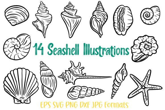 14 Seashell Shell Illustration SVG Logo: Elevate Your Design Assets