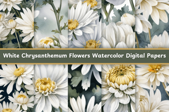 White Chrysanthemum Flowers Watercolor: A Versatile Design Asset